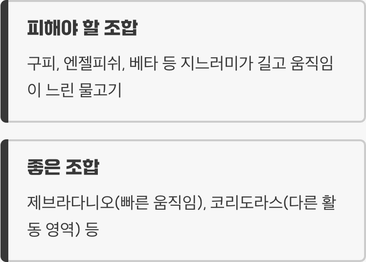 합사 - 의외의 '지느러미 악동'