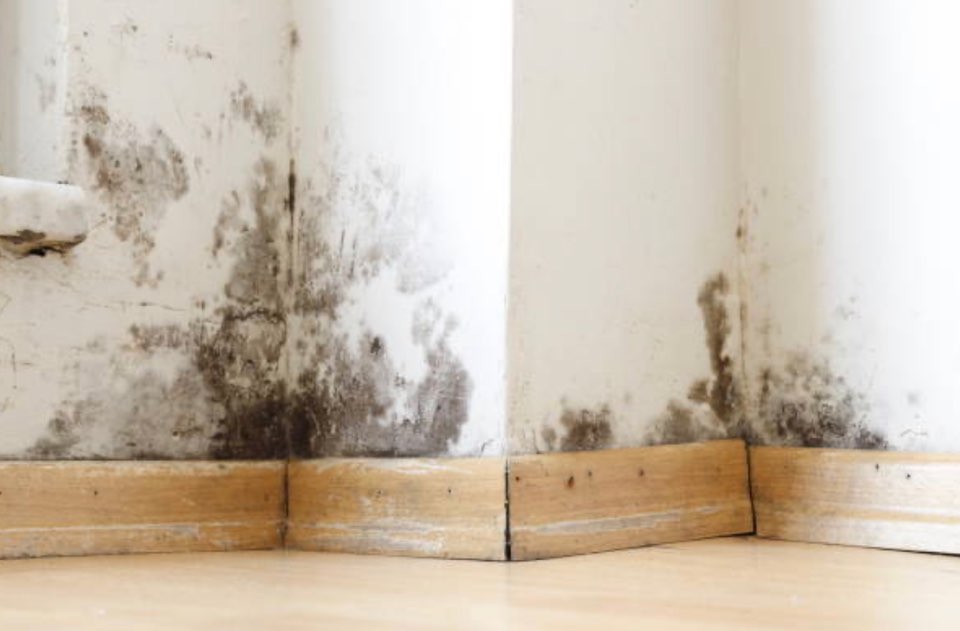 2023 장마기간&amp;#44; 장마 대비방법(운전&amp;#44; 빨래&amp;#44; 제습 관리)