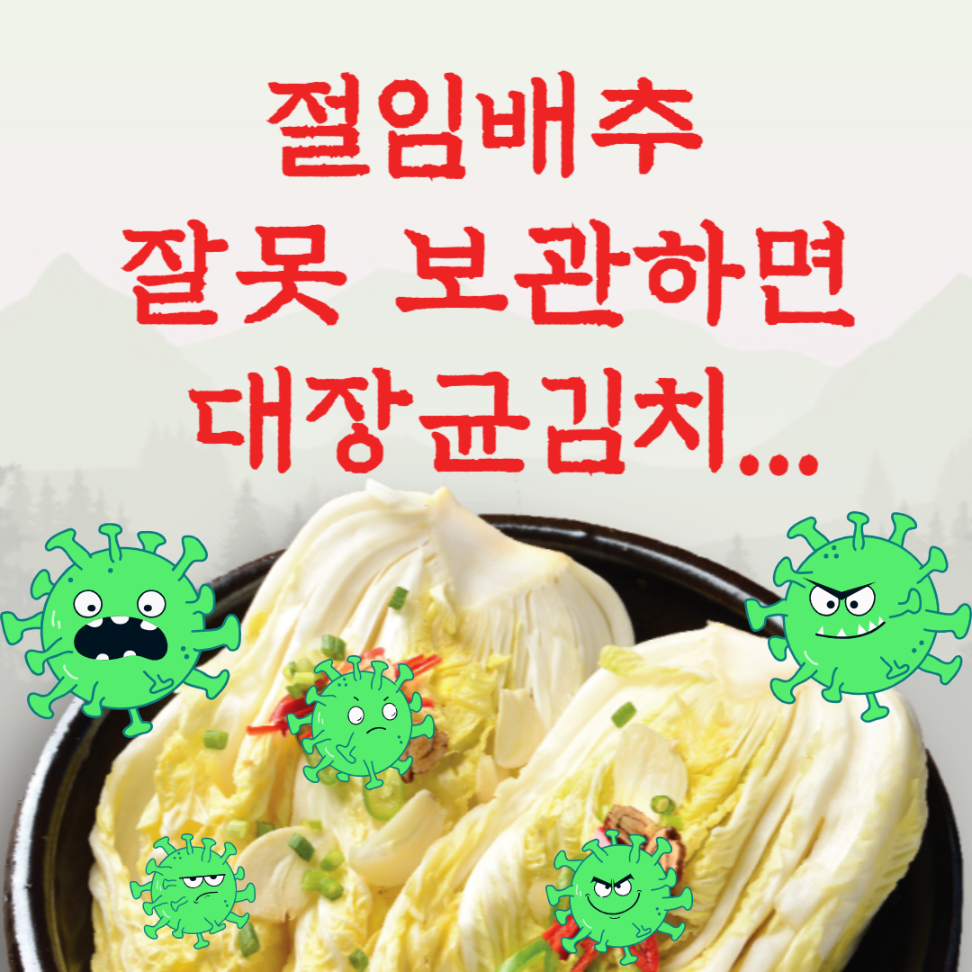 절임배추 잘 못 보관하면 대장균 김치... 꼭 지켜야 할 보관과 세척 방법