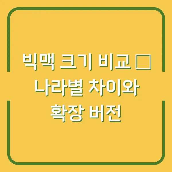 빅맥 크기 비교 – 나라별 차이와 확장 버전