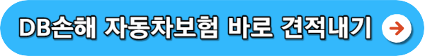 다이렉트 자동차보험 비교견적