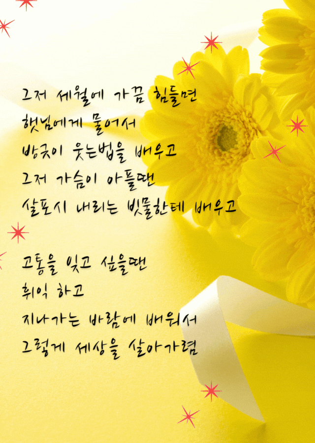 노란 꽃 위에 자연을 통해 인생을 배우라고 전하는 감성 시 이미지