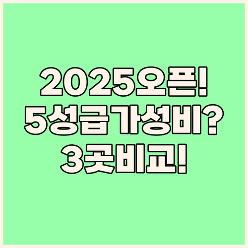 2025년 오픈 최신 5성급부터 가성..