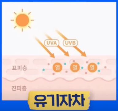 탄 피부 회복법