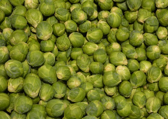 황태 콩나물국 만드는법