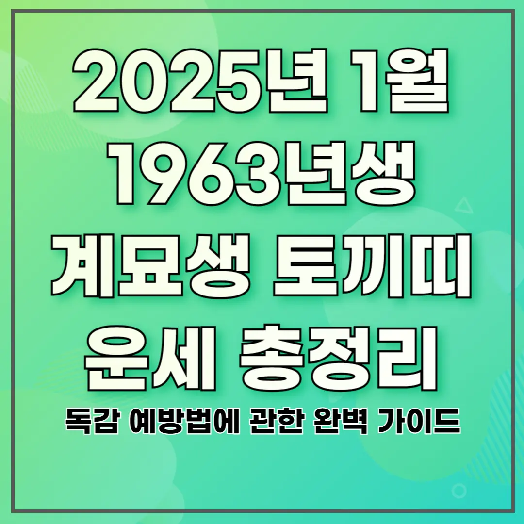 2025년 1월 1963년생 계묘생 토끼띠 운세 총정리 ❘ 주의해야 할 행동과 사람 유형하지 말아야 할 행동 🐇