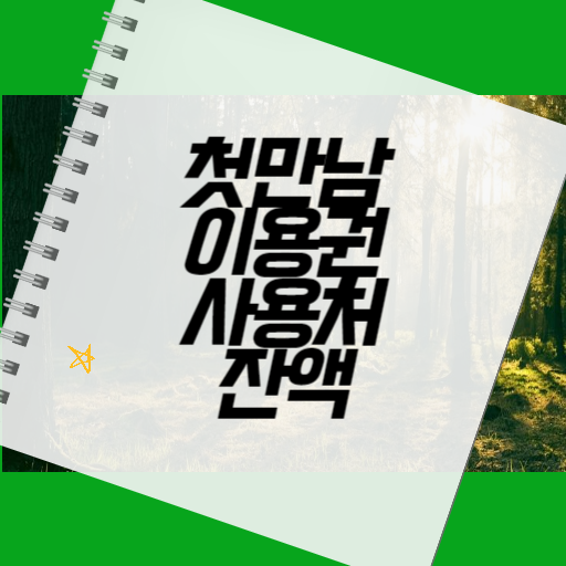 첫만남이용권 사용처 잔액