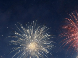 2025 세계불꽃축제 예매 방법