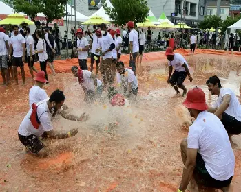 화천 토마토축제_23