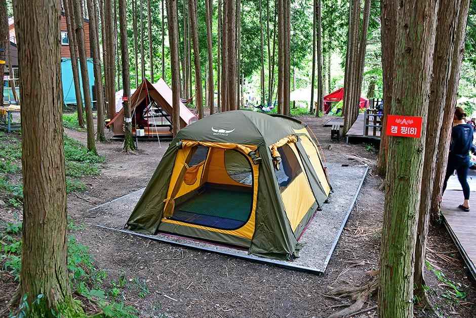 편백힐 치유의숲 캠핑장
