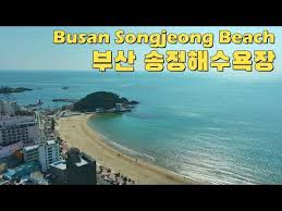 🐠 [국내여행과 스킨스쿠버] 핫플 BEST 10