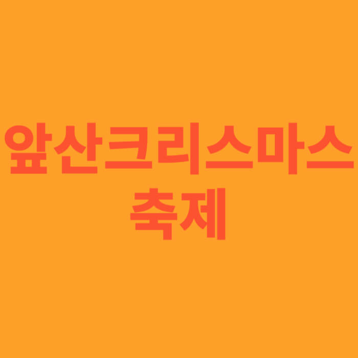 앞산크리스마스축제