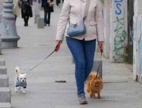 국민건강보험공단 걷기지원금