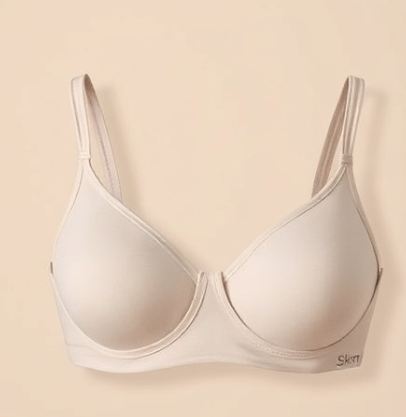 스킴스브라그림