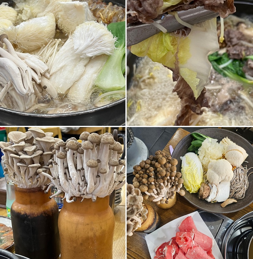 8종 버섯이 나오는 샤브샤브