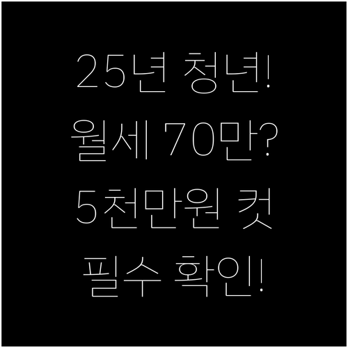 2025년 청년월세 보증금 5천 월세..