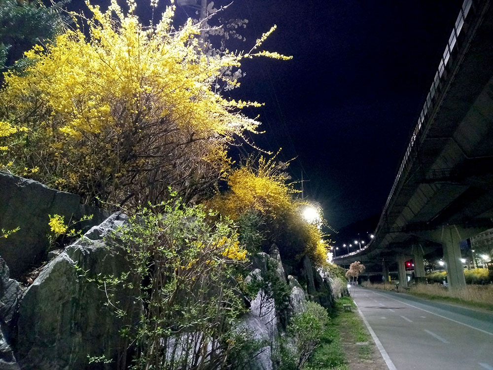 Emart24 4월걷기챌린지