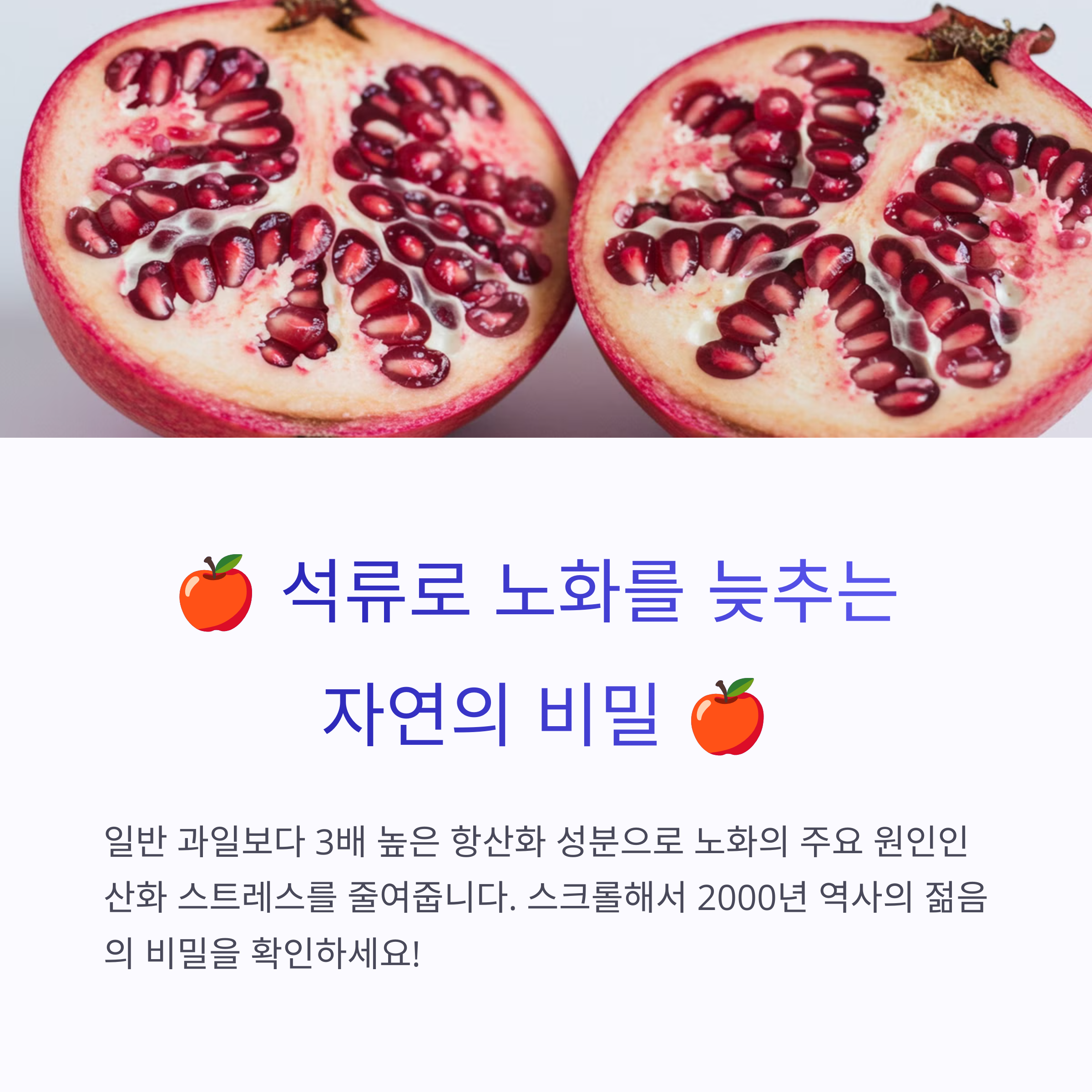 석류와노화방지