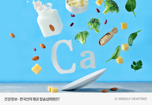 칼슘 추천