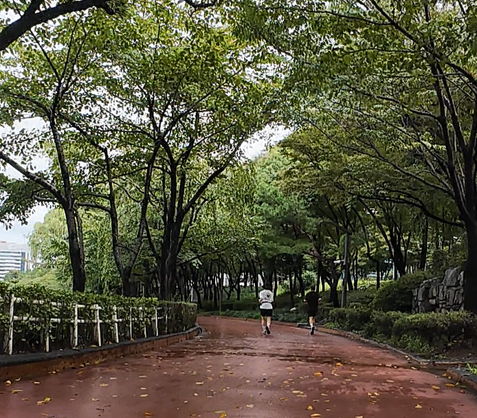 Alt 속성 문제 해결 설명 이미지