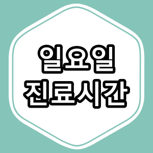 대구 달서구 월성동 일요일 문 여는 병원과 진료시간