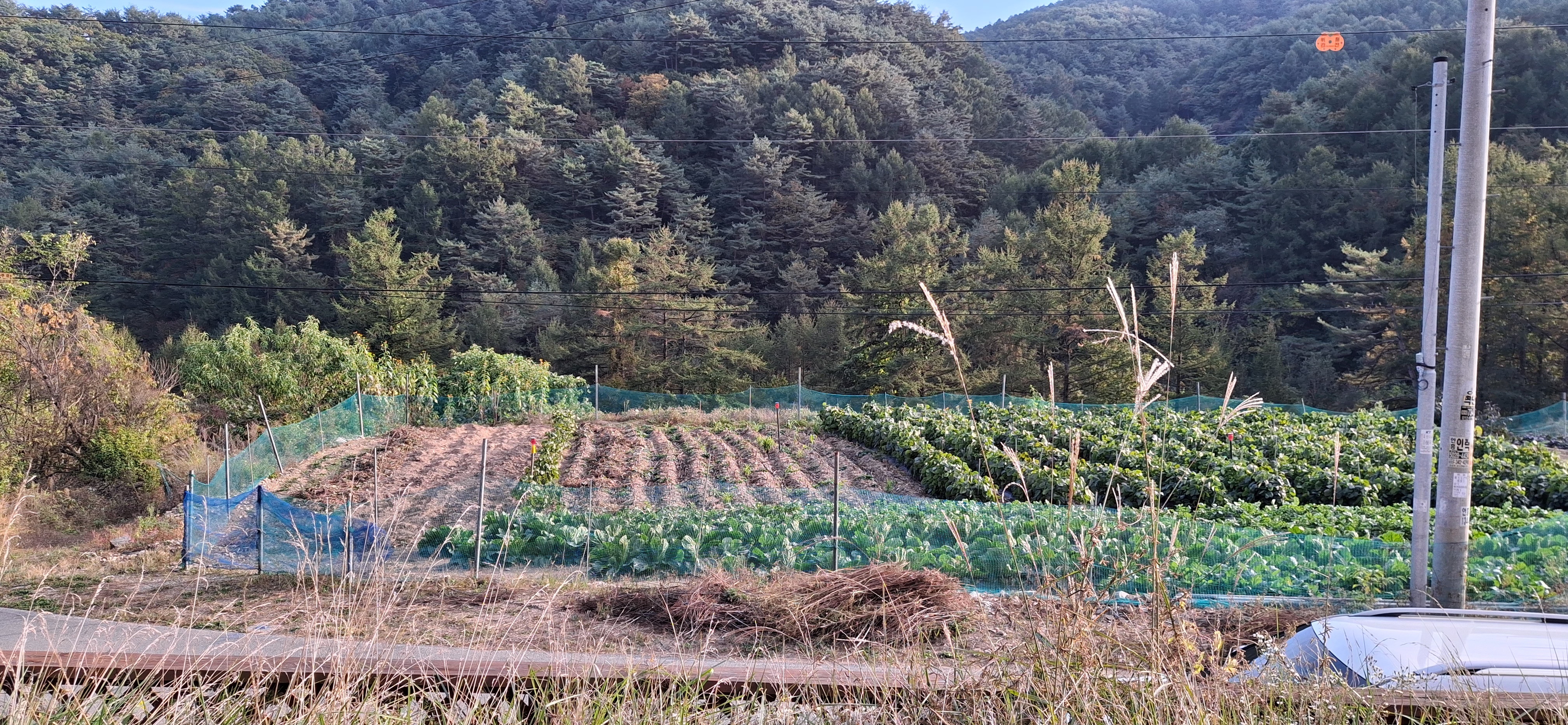 산속 경매 주택 앞에 펼쳐진 밭과 숲으로 둘러싸인 조용한 자연환경