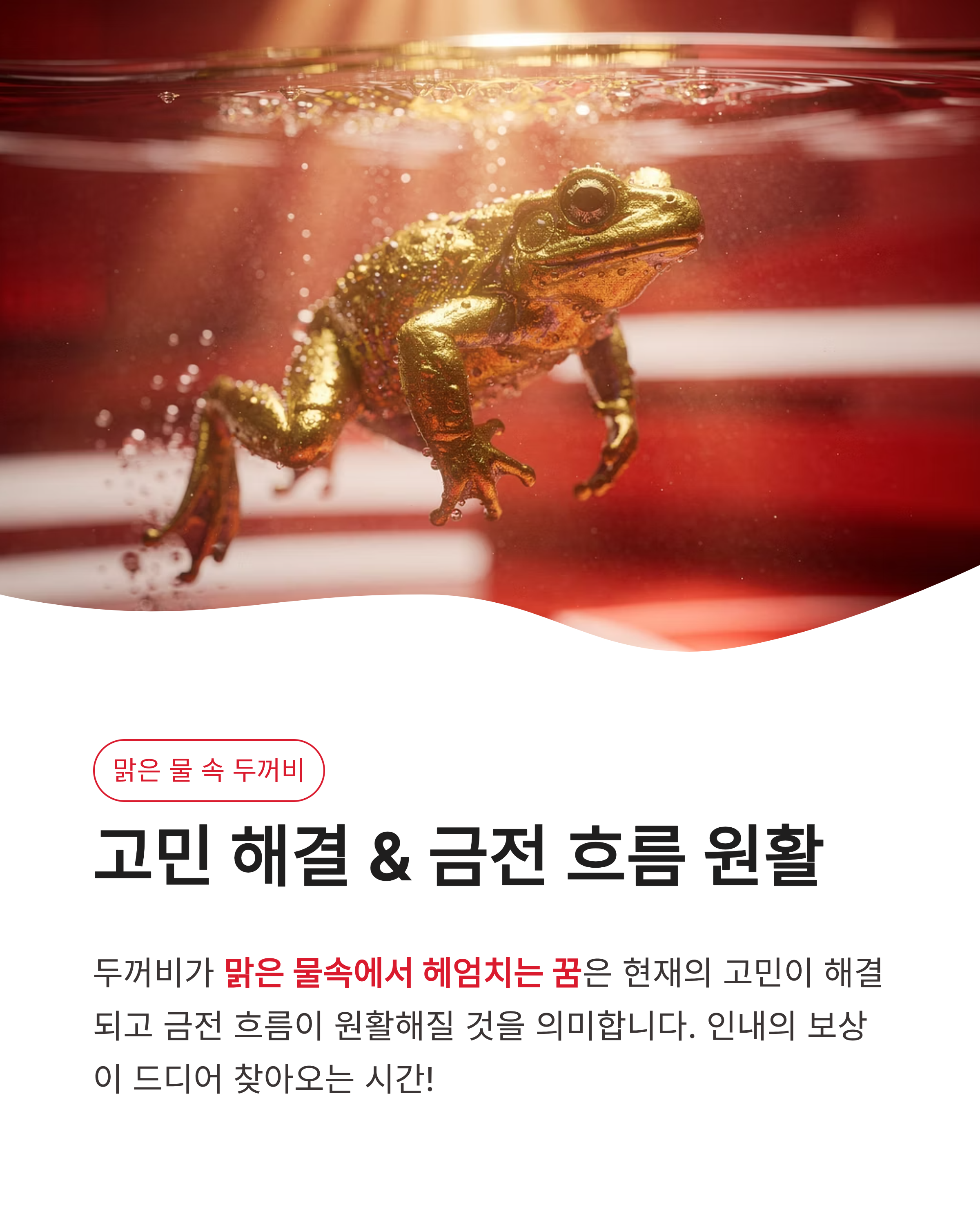 두꺼비 꿈 해몽 큰 황금 두꺼비가 집안으로 들어오는 꿈 대박 재물운일까?