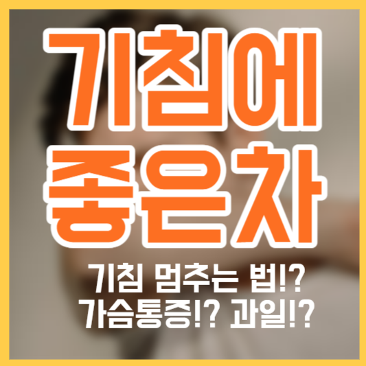 기침에 좋은 차 - 멈추는법!? 가슴통증!? 과일!?
