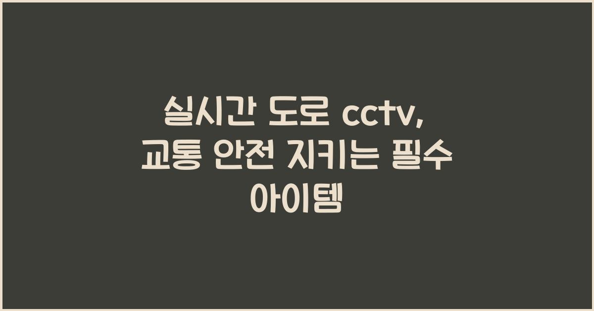 실시간 도로 cctv