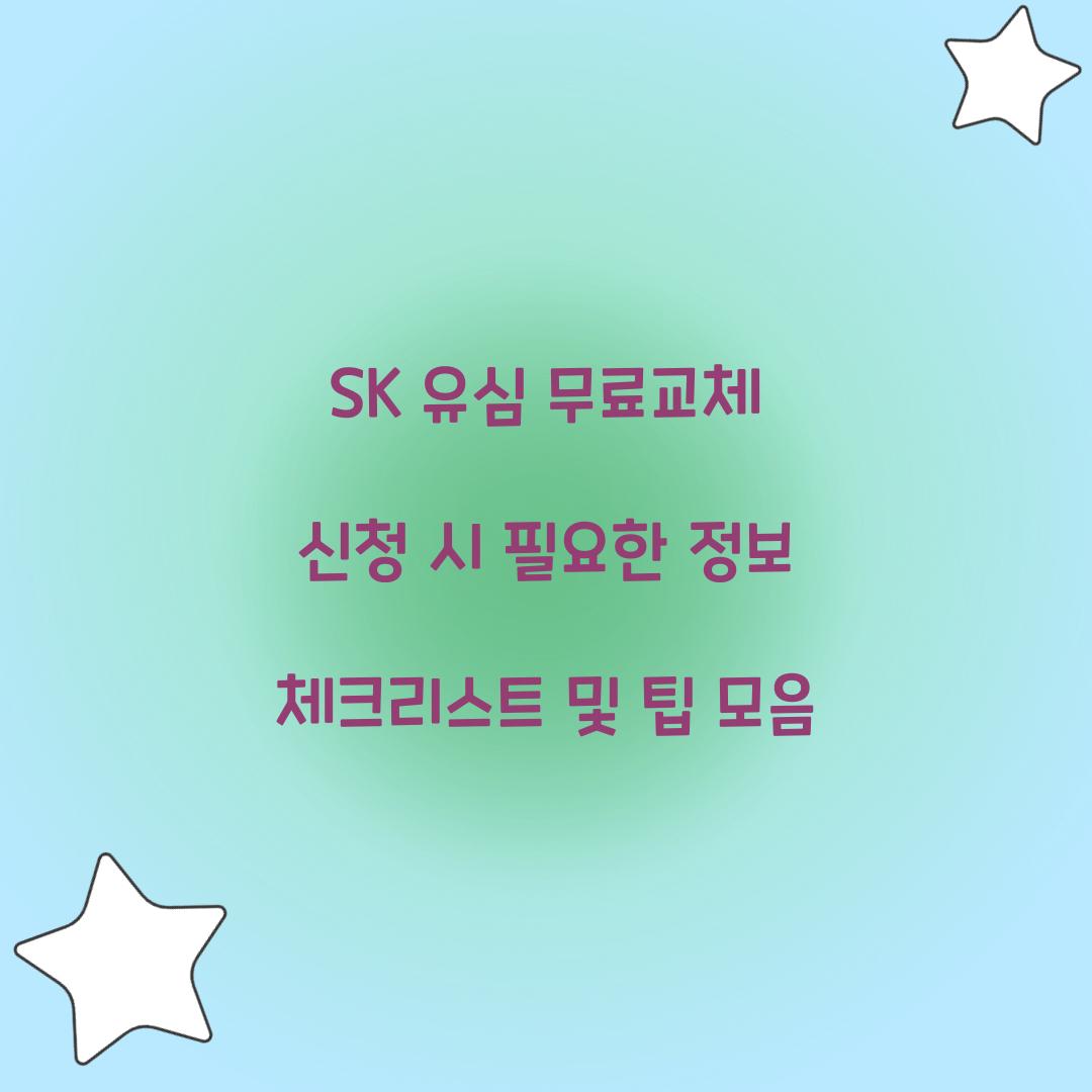 SK 유심 무료교체 신청 시 필요한 정보 체크리스트