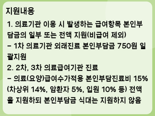 2023 장애인의료비지원 지원내용