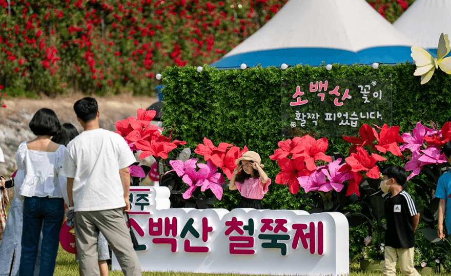 영주 소백산 철쭉제