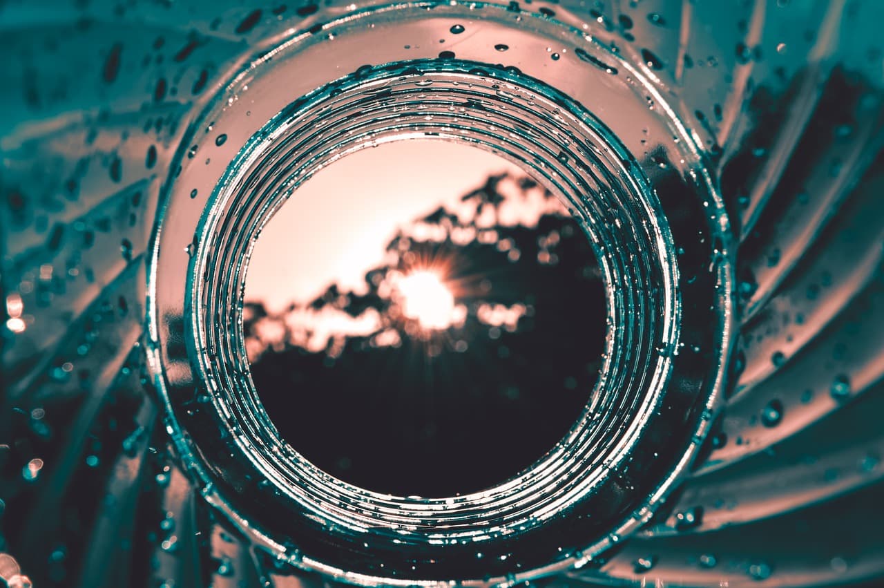 플라스틱 분해 버섯 연구와 환경 개선 가능성