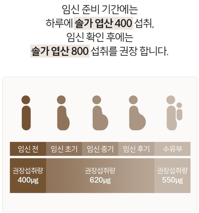 솔가 엽산 400