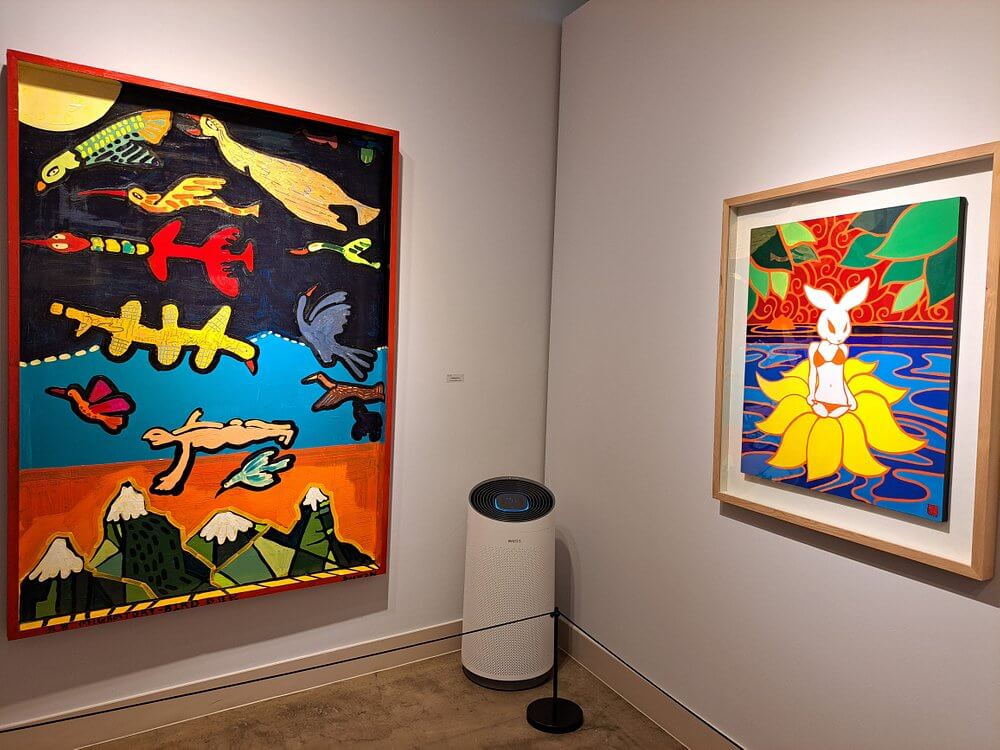 제주도 박물관 추천 (위치, 이용시간, 예매방법)