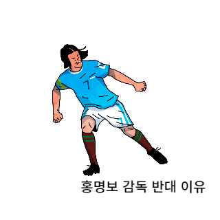 홍명보감독반대이유