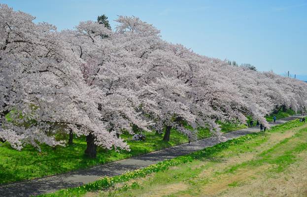 봄맞이 최저가 중국 항공권 예매하러 가기