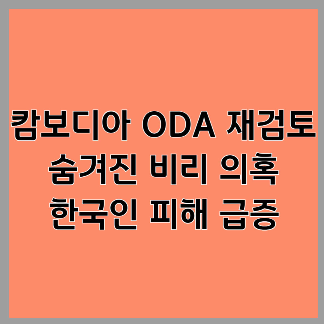 캄보디아 ODA 재검토