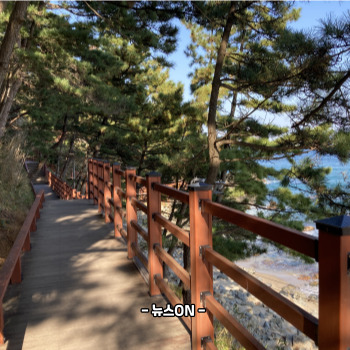 부산 해돋이 명소