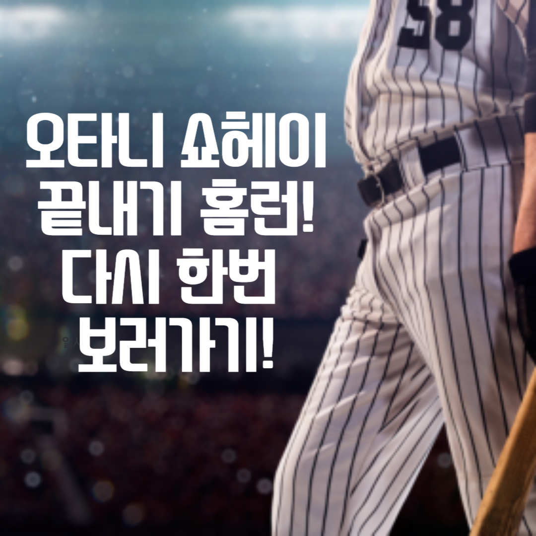 하이라이트 영상