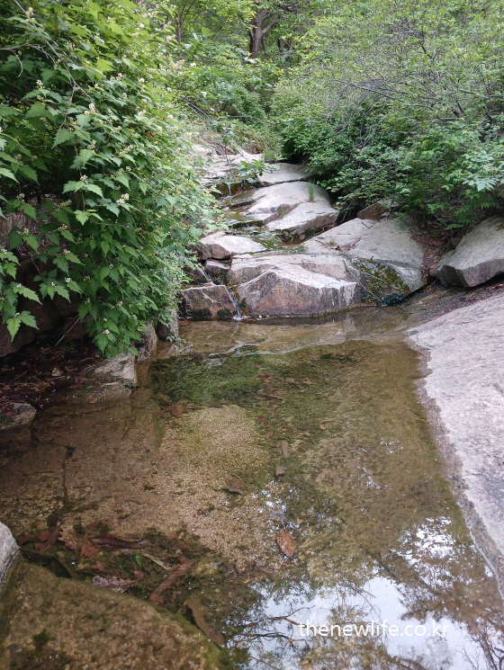 Tranquil valley stream with rocks at Achasan trail-고요하게 흐르는 아차산의 계곡물과 바위