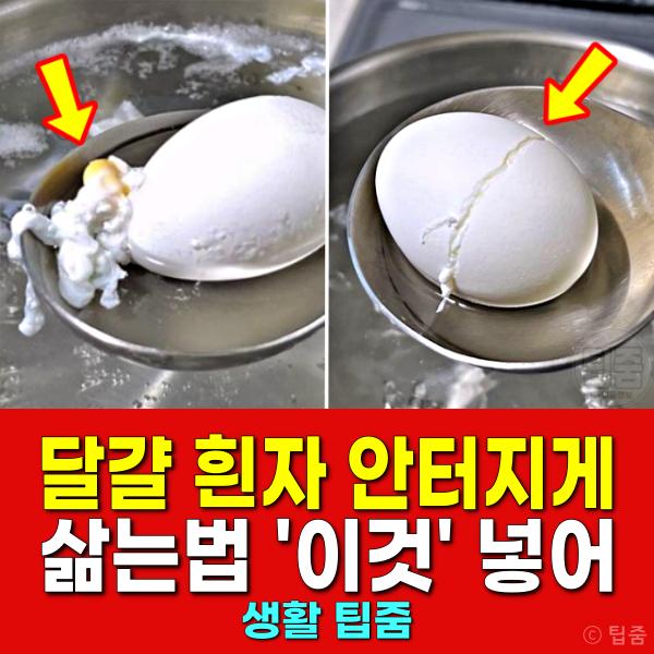 깨진 달걀 흰자 안터지게 삶는법