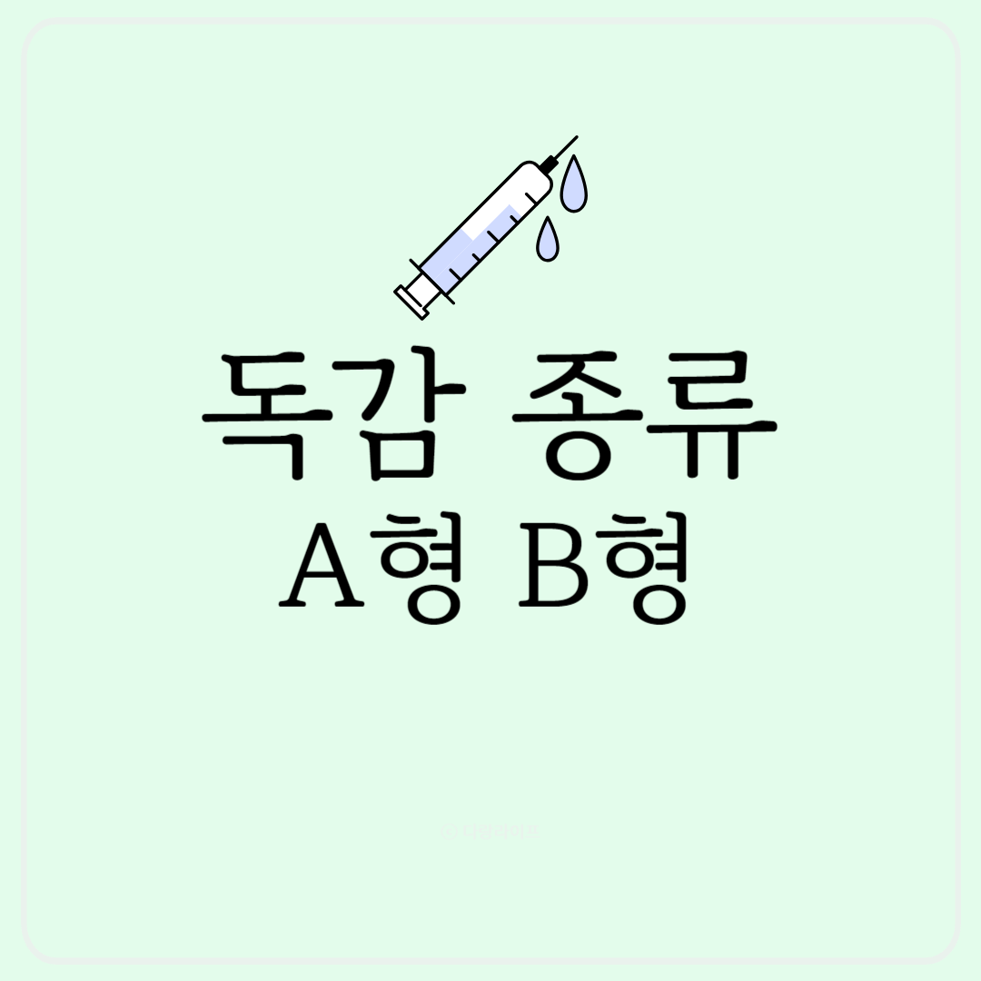 독감 종류 A형독감 B형독감 독감종류 독감차이