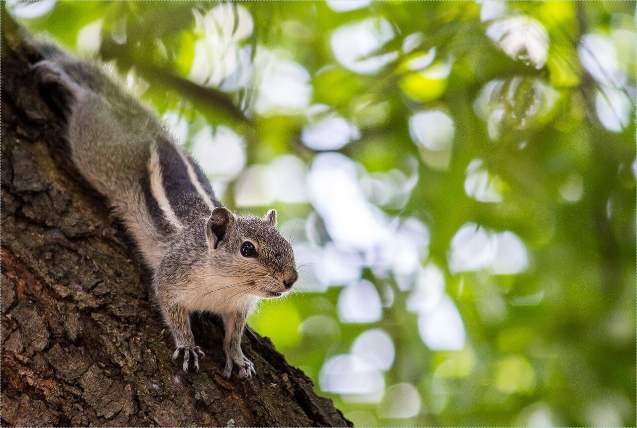 신협 정기예금 금리