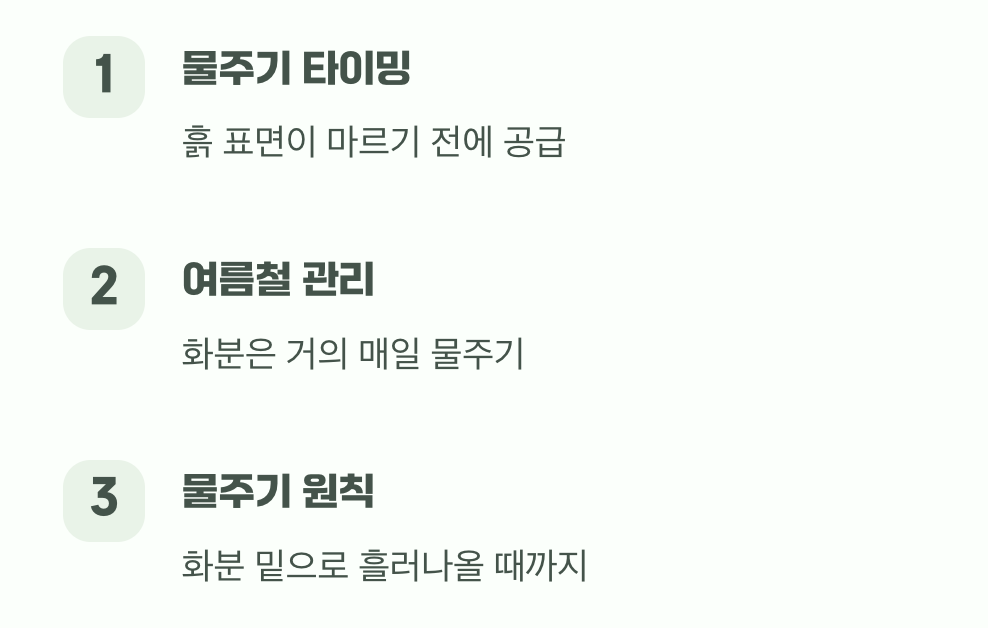 마르지 않는 샘처럼, 물주기의 기술