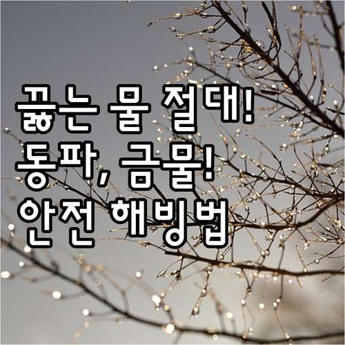 보일러 동파 발생 시 끓는 물은 절대..