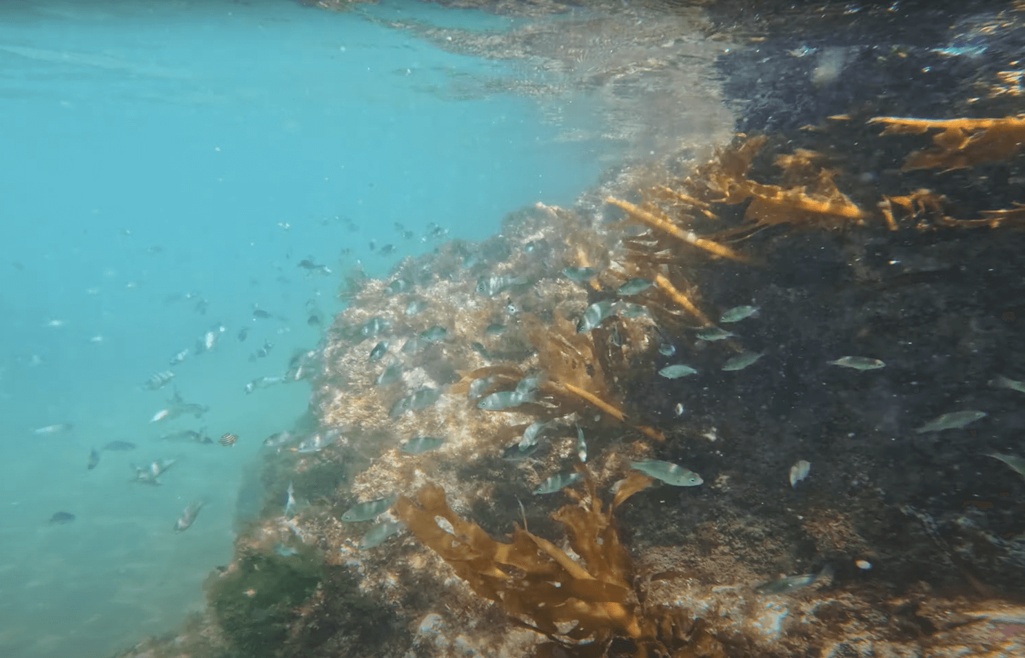 삼척 용화해변/용화방파제 &mdash; 조용하게 즐기는 숨은 명소