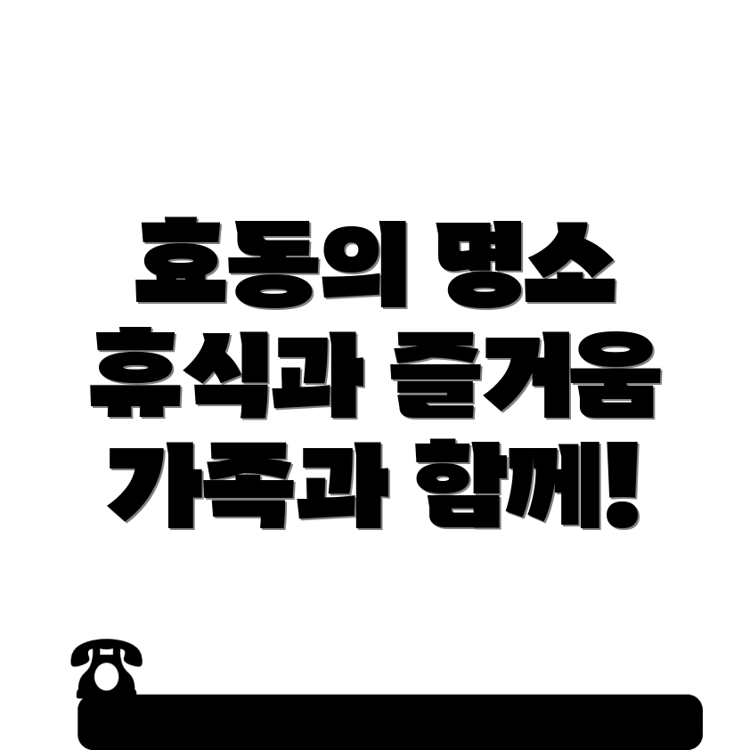 대전 동구 효동