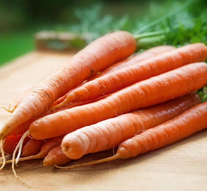 코에 좋은 음식