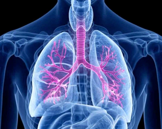 기관지염 증상 9가지